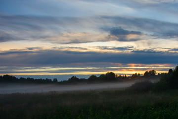 Fog over a field in a village on a summer evening. Low depth of field