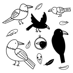 Vector illustrations of simple ravens on white background. Drawn by hand halloween doodle set of ravens and feathers for different decorative spooky designs.