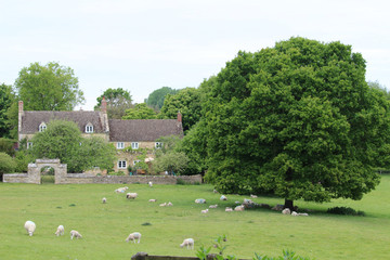 cotswold farm