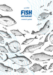 Fish sketch collection. Hand drawn vector illustration. Seafood frame vector illustration. Food menu illustration. Hand drawn salmon, mackerel, sturgeon, flounder, tuna. Engraved style. Engraved fish