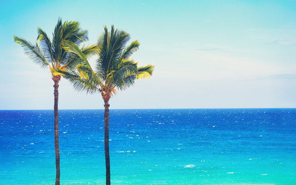 Summer Beach travel vacation background of blue ocean and palm trees panorama, tropical Caribbean destination. Horizontal landscape.