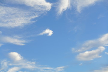 Naklejka na ściany i meble Cirrus Wolken in blau und weiß
