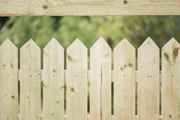 Spring grass and wooden fence in the garden