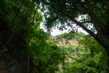cascada
