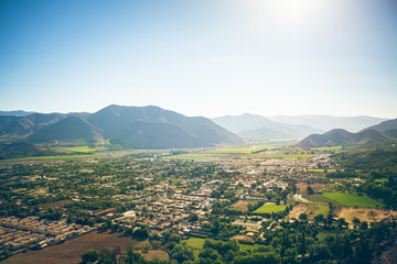 Vicuña from above