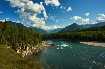 Altai Mountains green Katun, summer 2020