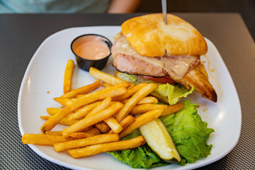 Close up shot of delicious grilled chicken breast sandwich and french fries