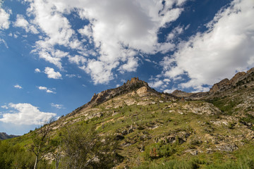Beautiful landscape around Lamoille Canyon