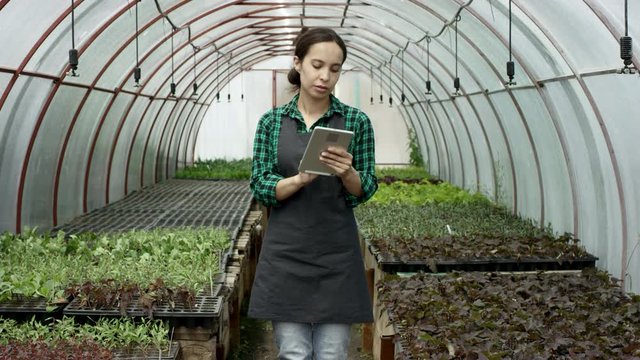 pretty young ferm worker stands near the seedlings and texting in tablet computer inside greenhouse