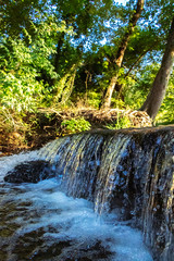 waterfall in the forest