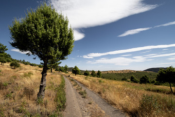 road in the field with blue sky