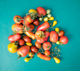 Bright multi-colored tomatoes of different sizes on a green background. Advertising, banner.