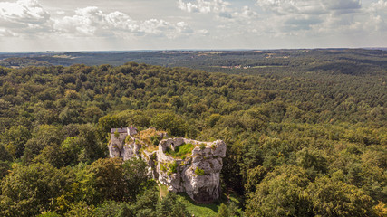 Fototapeta na wymiar Ruiny zamku w Morsku na Wyżynie Krakowsko-Częstochowskiej.
