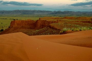 SAND DUNES AND SAND PATTERNS IN THE NAMIB DESERT IN NAMIBIA