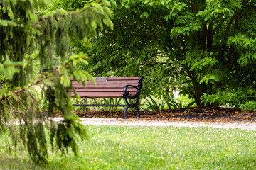 bench in the park