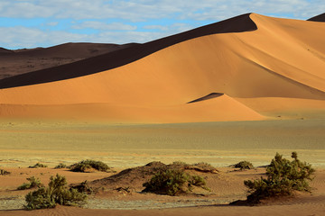 Fototapeta na wymiar SAND DUNES AND SAND PATTERNS IN THE NAMIB DESERT IN NAMIBIA