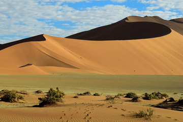 Fototapeta na wymiar SAND DUNES AND SAND PATTERNS IN THE NAMIB DESERT IN NAMIBIA