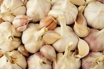 whole heads and cloves of garlic lie tightly together as a background