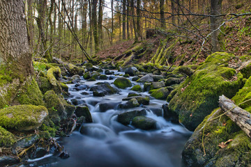 Holzbachschlucht