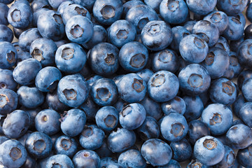 healthy background. blueberry texture. blueberries background. fruit background.