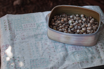 Assorted acorns in handmade pottery bowl on vintage tablecloth outdoors