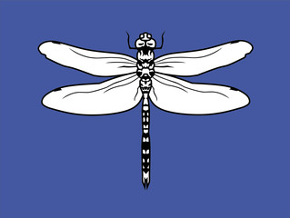 set of dragonfly vector illustrasi