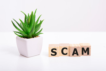 scam word made with building blocks isolated on white