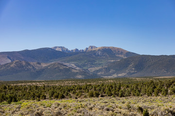 Sunny view of the beautiful Wheeler Peak