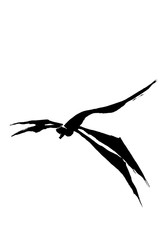 筆絵　とんぼ  © fotoriatonko