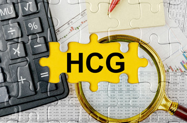 Puzzle with a calculator, magnifying glasses and financial documents in the center inscription -HCG
