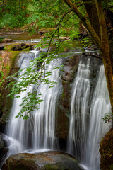 Obraz premium Closeup View of a Cascading Waterfall in the Pacific Northwest. Whatcom Falls, located in Bellingham, Washington, is a beautiful waterfall that is popular with both locals and tourists alike.