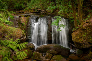 Obraz premium Whatcom Falls Park, Located in the Heart of Bellingham, Washington. The falls are on Whatcom Creek, which leads from Lake Whatcom to Bellingham Bay. Popular with locals and tourists alike.