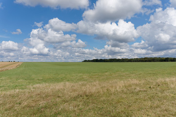 English summer landscape with green field and blue sky with clouds.