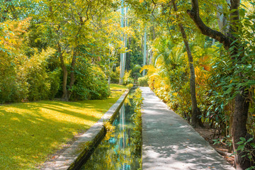 camino otoñal