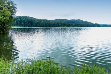 Soft focus on a lake in Germany. Cloudy day at the lake. Large trees on the far side of the lake. Beautiful natural background. An idea of ​​the beauty of nature in Europe. Dense forest by the lake.
