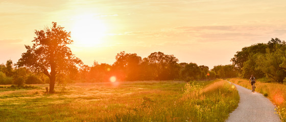 An orange sunset over the trees, a sunlit meadow.