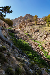 Fototapeta na wymiar Morning view of the beautiful landscape around the Ruby Crest Trail