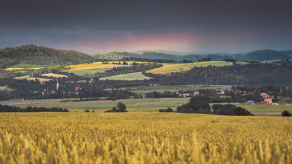 Wheat field with a panorama of the hills, a rainbow on a background of storm clouds.