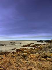 Asilomar State Marine Reserve California