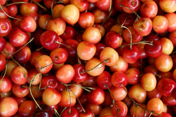 background of merry close up