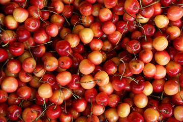 background of merry close up