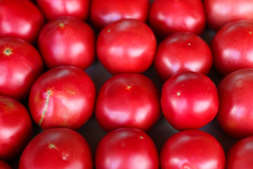 Fototapeta na wymiar background of tomatoes top view