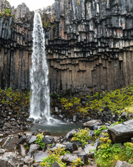 Large Basalt Cliff Waterfall in Iceland, Svartifoss