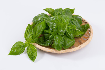 ザルに盛ったバジル
