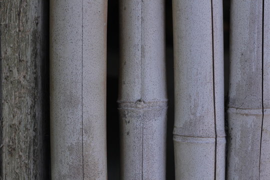 Bamboo wall texture, Brazil.