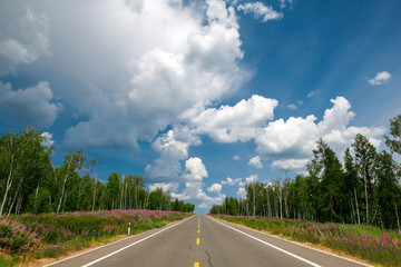 Fototapety na wymiar - Fototapeta24.pl