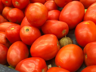 Small jitomate among red tomatoes in mexican market