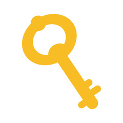 old key door flat style icon