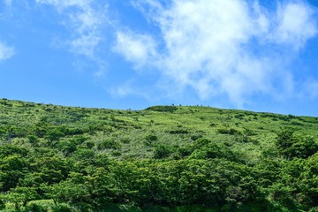 Fototapeta na wymiar 夏空バックに見上げる伊吹山の山頂付近の情景＠滋賀