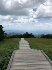 Obraz premium 日光霧降高原の自然の景色